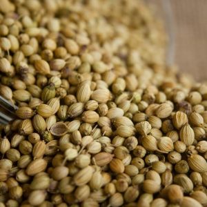 Coriander Seed