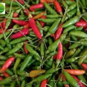Bird Eye Chilly